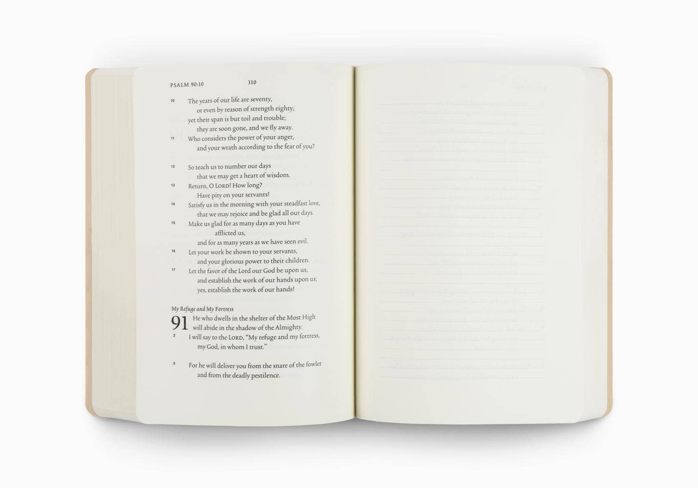ESV Scripture Journal: Psalms (Artwork by Ruth Chou Simons)