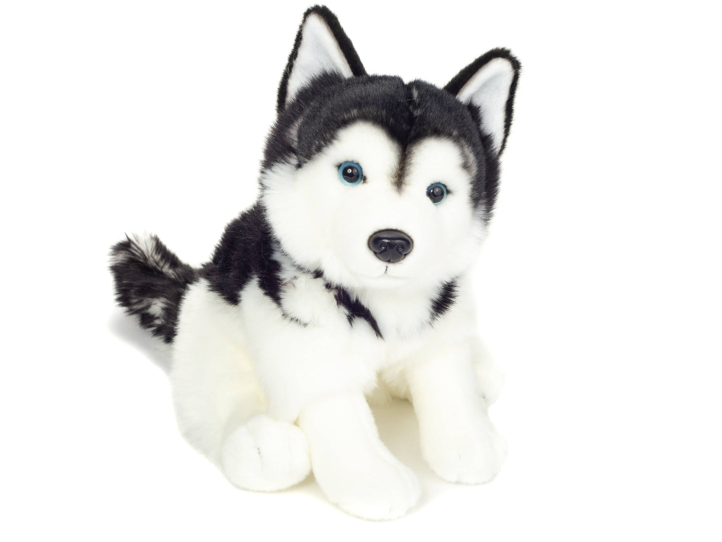 Husky sitting 30 cm - plush toy - soft toy