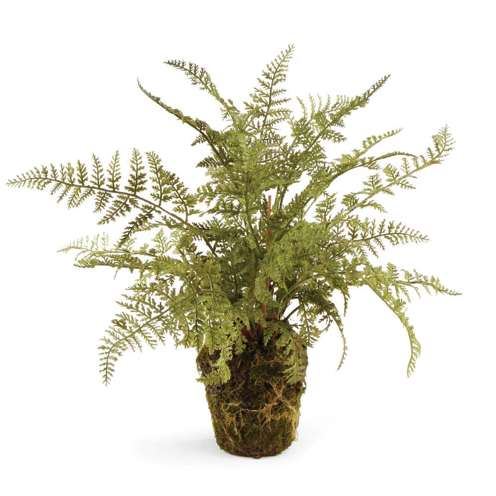 Soft Fern Drop-In 13"