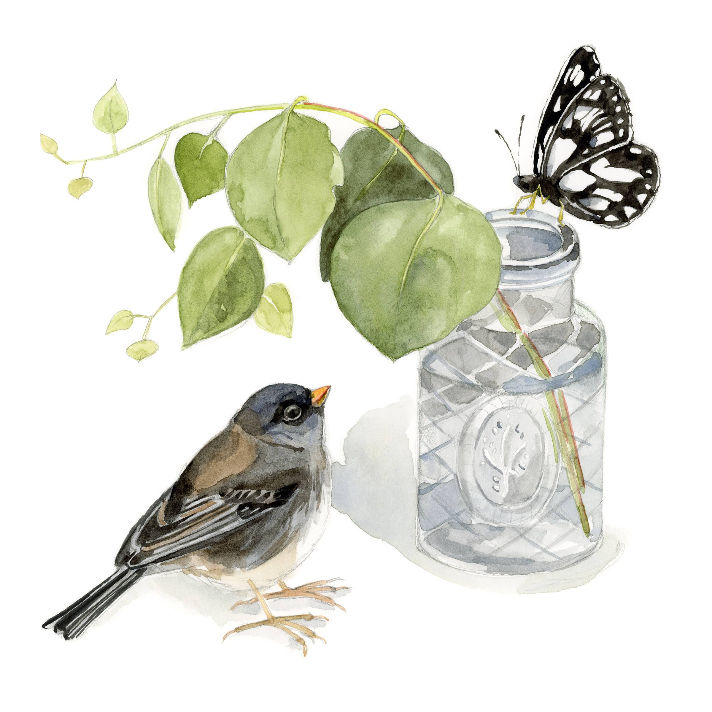 Dark Eyed Junco with a Butterfly Friend /Blank Greeting Card