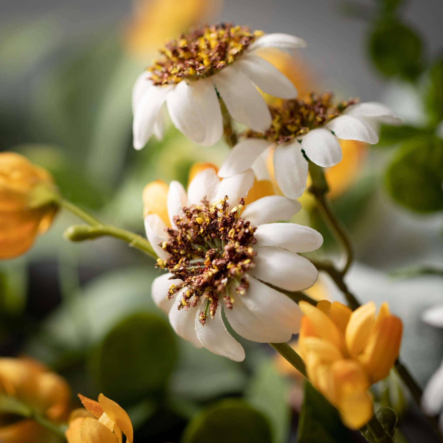 DAISY MARIGOLD BLOOMS ORB