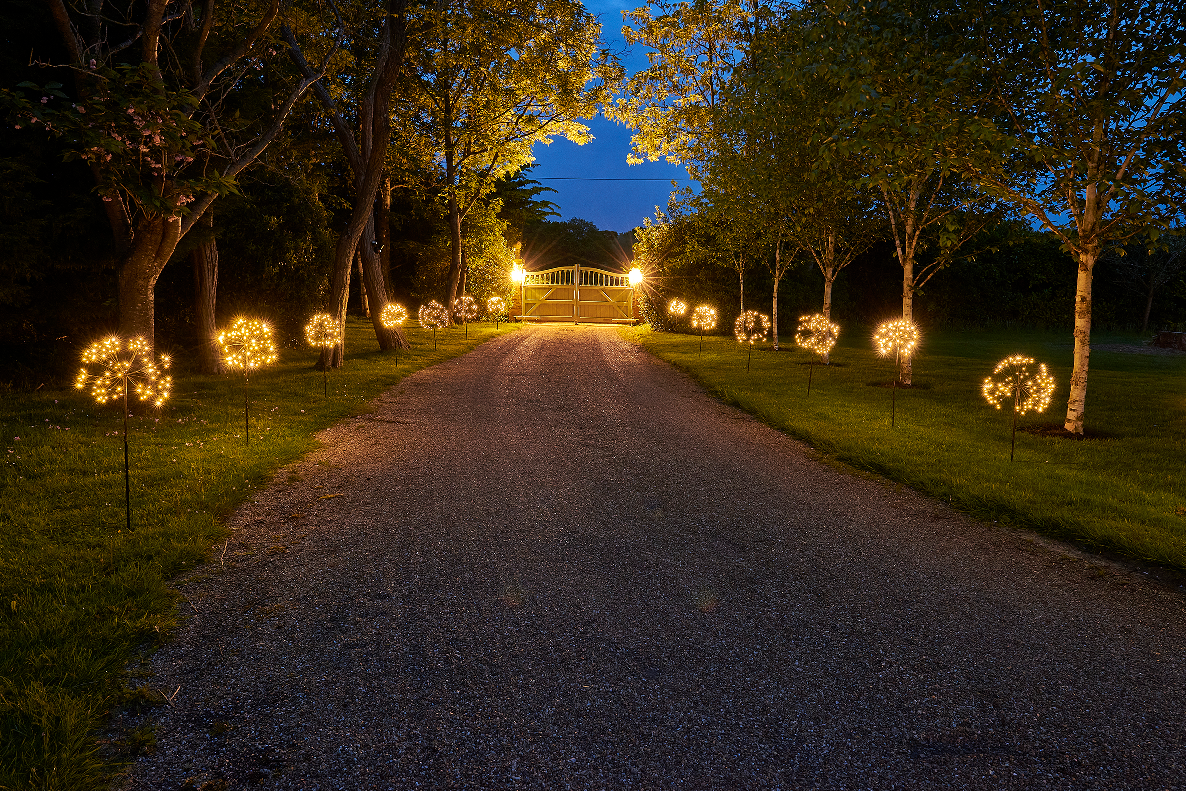Solar Dandelion Lights