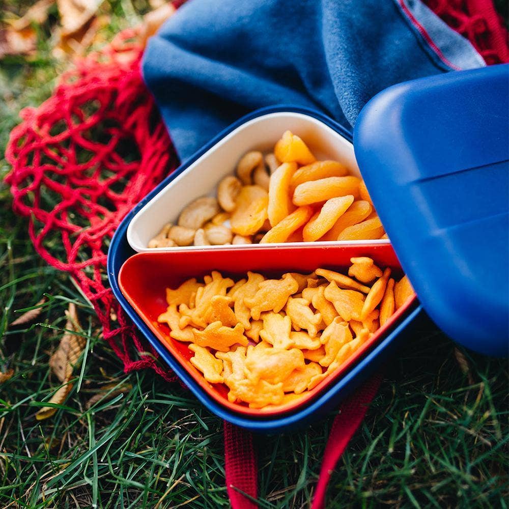 Square Bento Lunch Box - Royal Blue