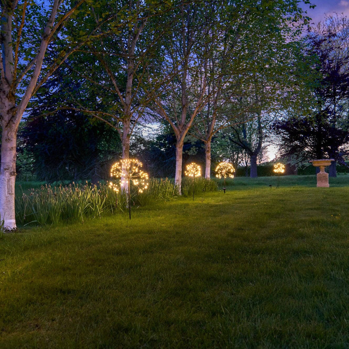 Solar Dandelion Lights