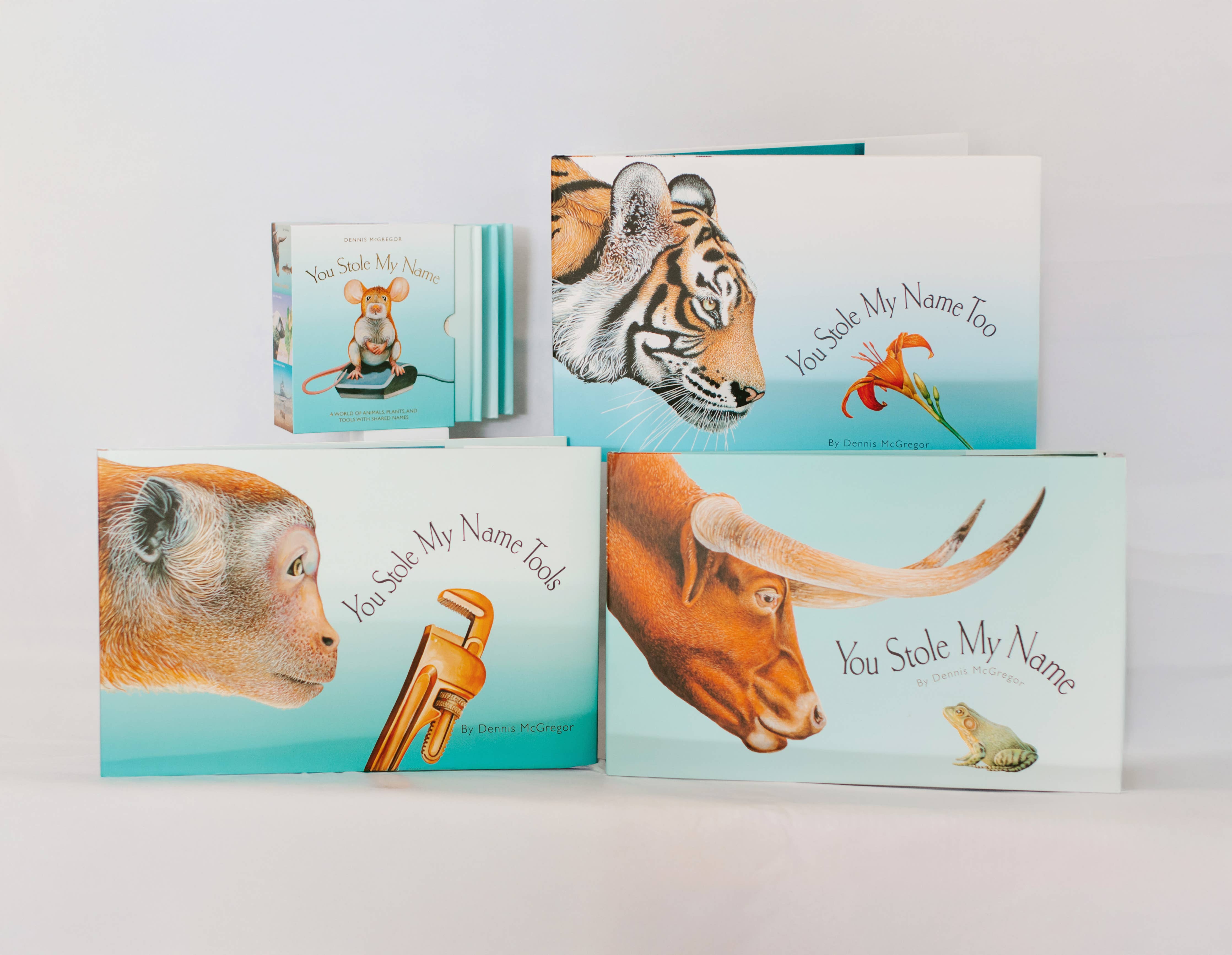 You Stole My Name: A Stocking Size Board Book for Baby