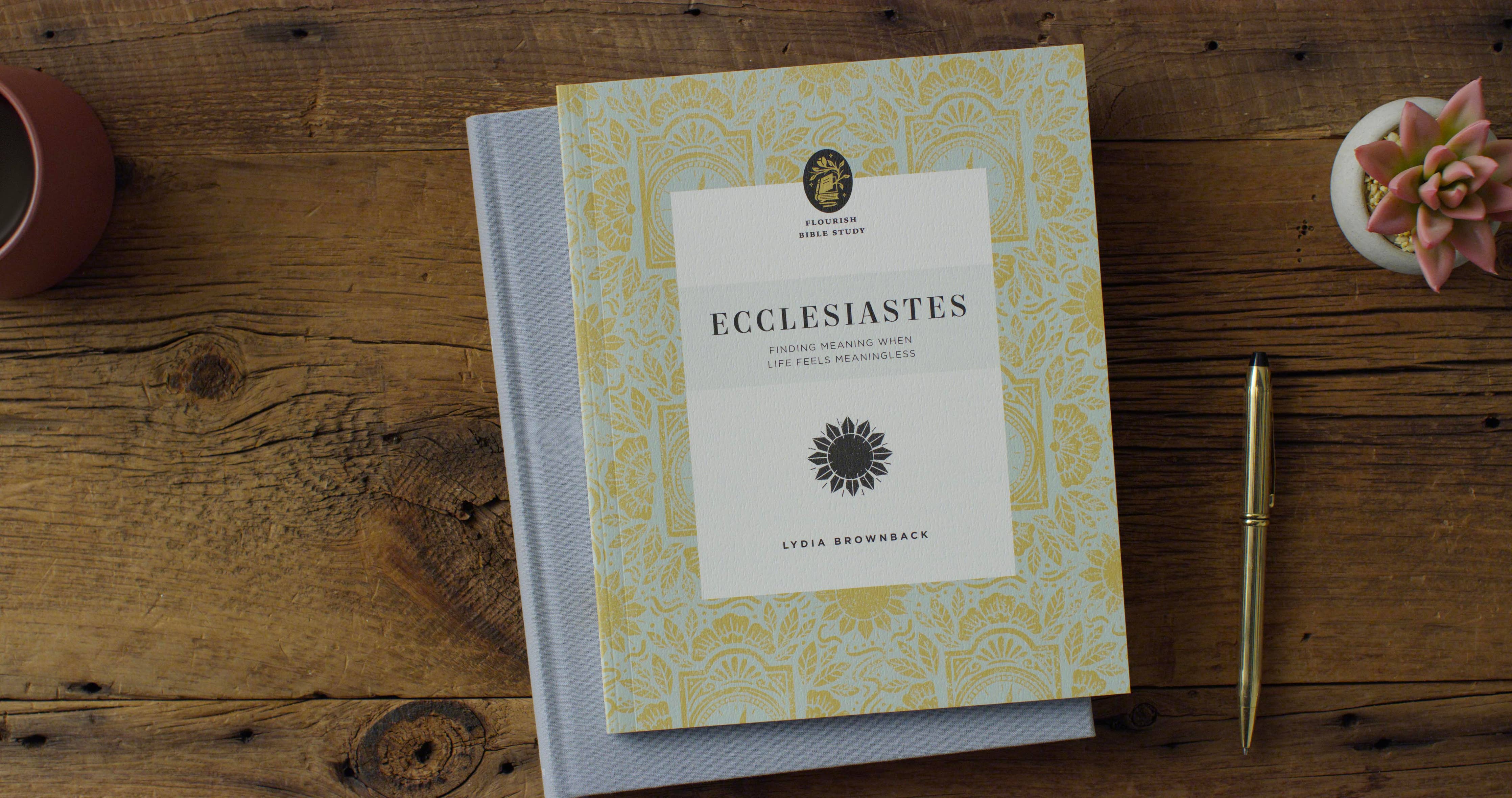 Ecclesiastes: Finding Meaning When Life Feels Meaningless