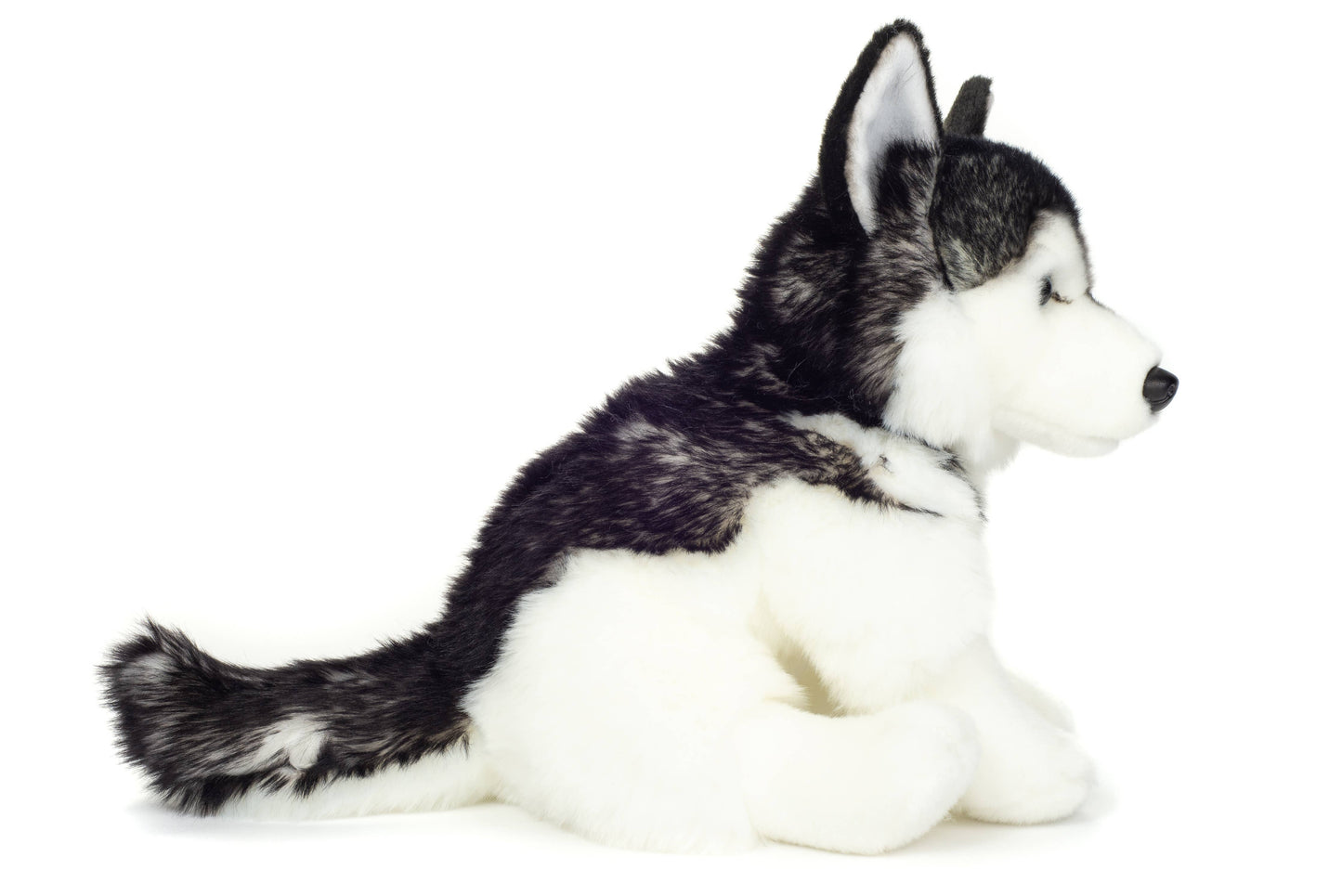 Husky sitting 30 cm - plush toy - soft toy