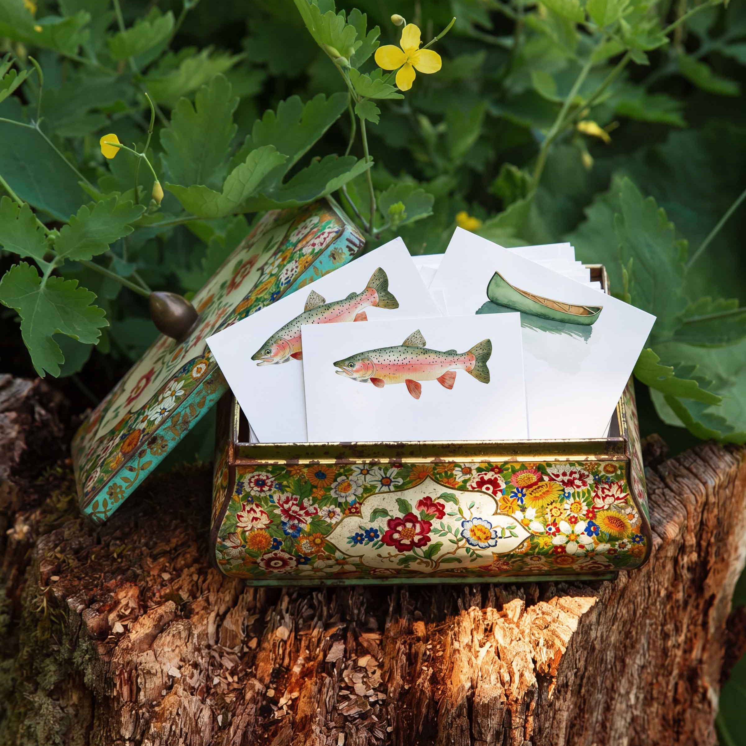 Rainbow Trout - Box of 50 Mini Notes