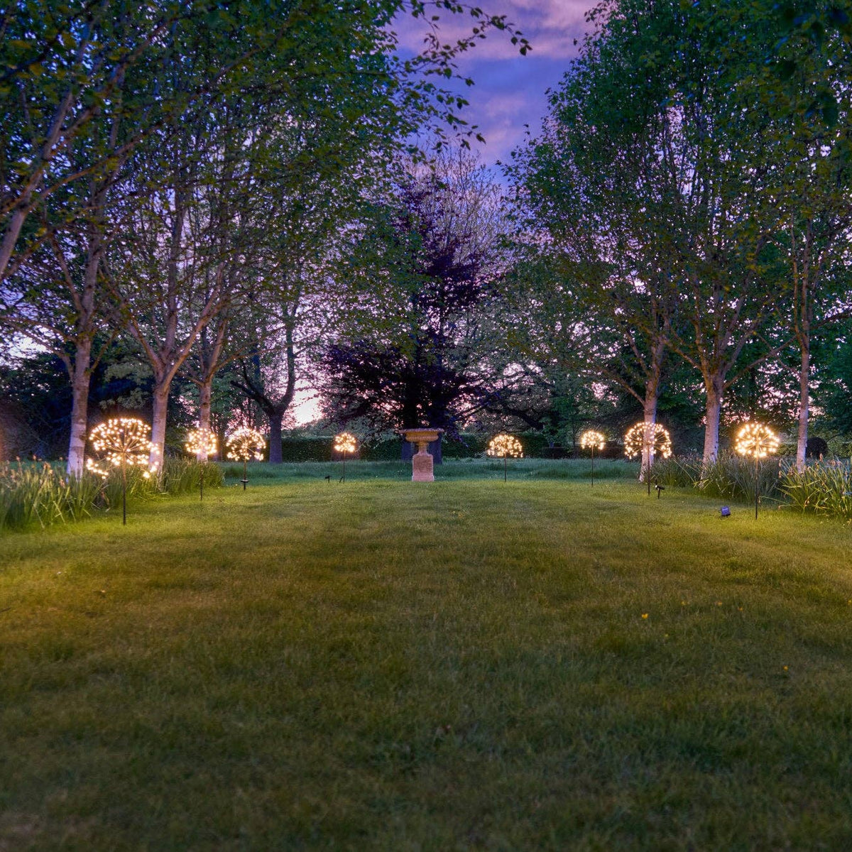 Solar Dandelion Lights