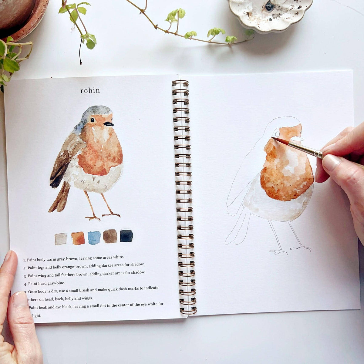 Open book with illustration of a robin and hand holding a paintbrush