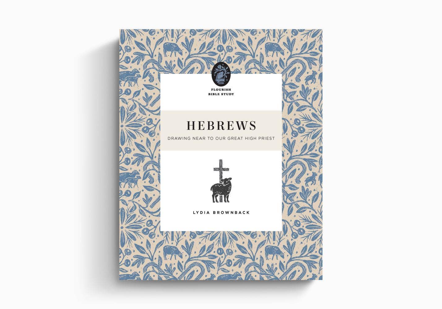Hebrews: Drawing Near to Our Great High Priest