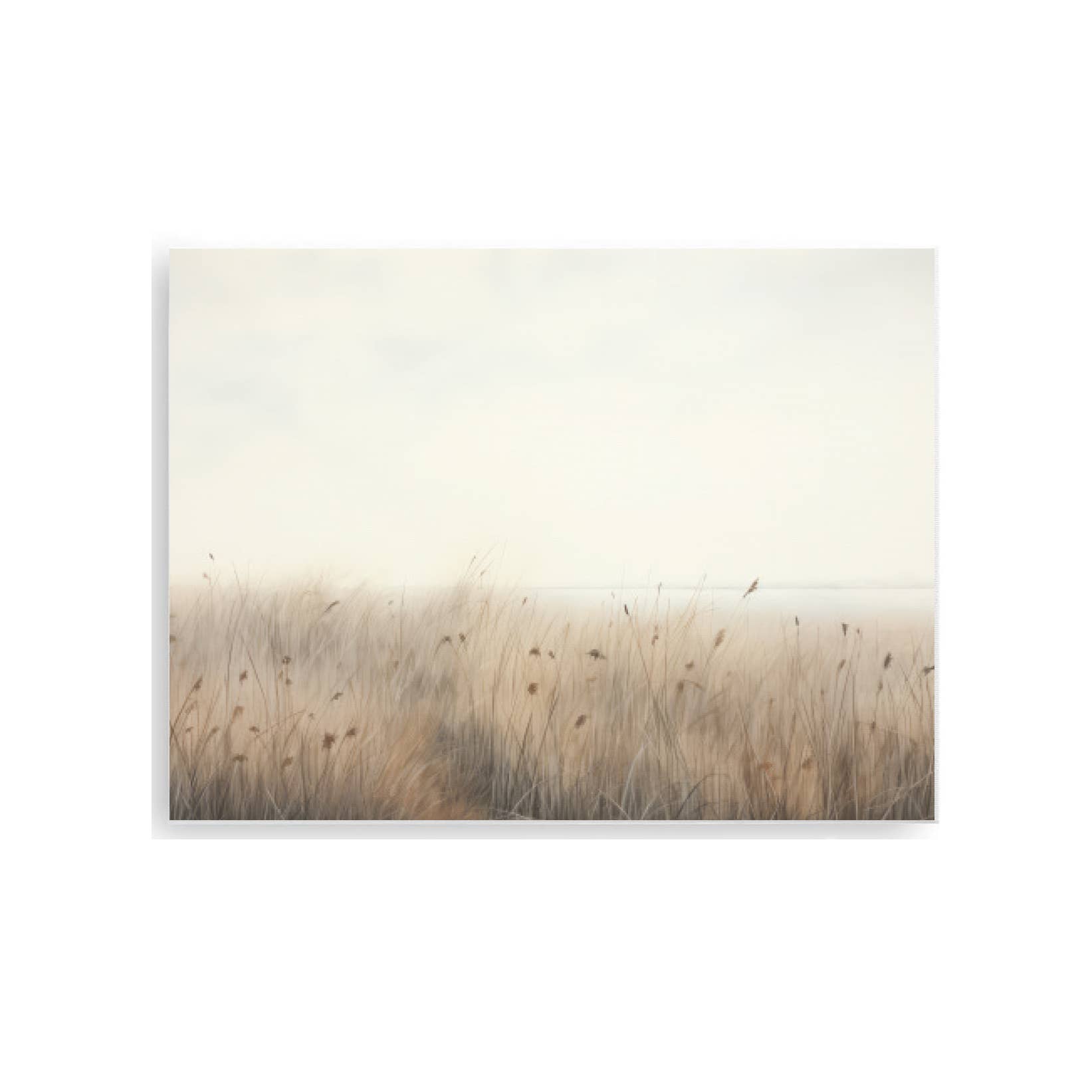 8x10 Canvas Board - Vintage Grass
