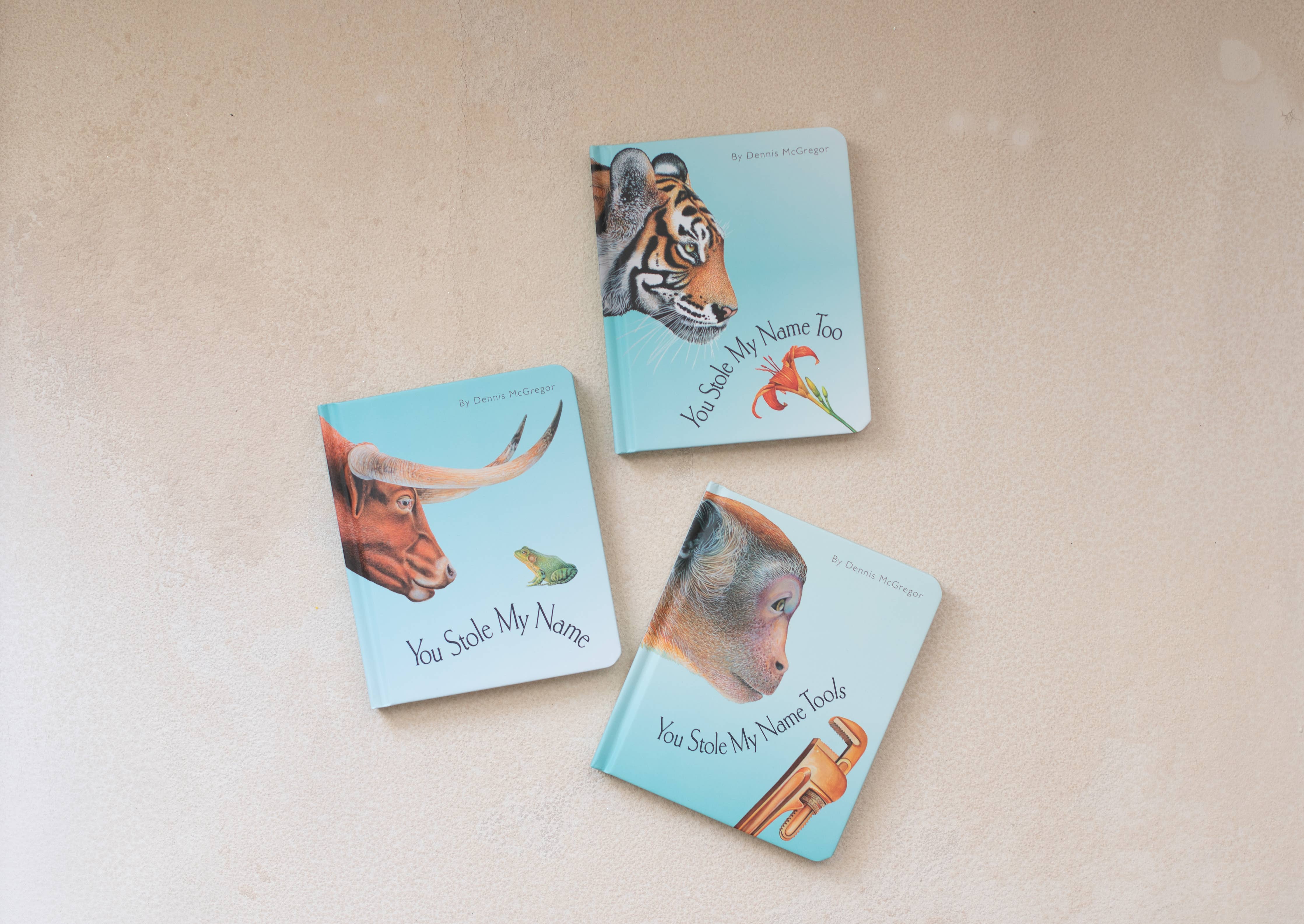 You Stole My Name Board Book Box Set