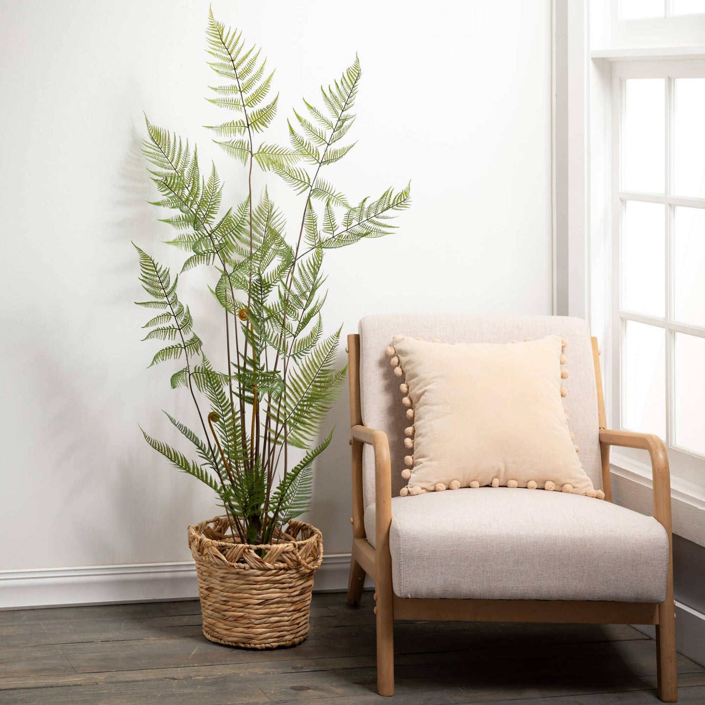 HIGH POTTED FIDDLEHEAD FERN