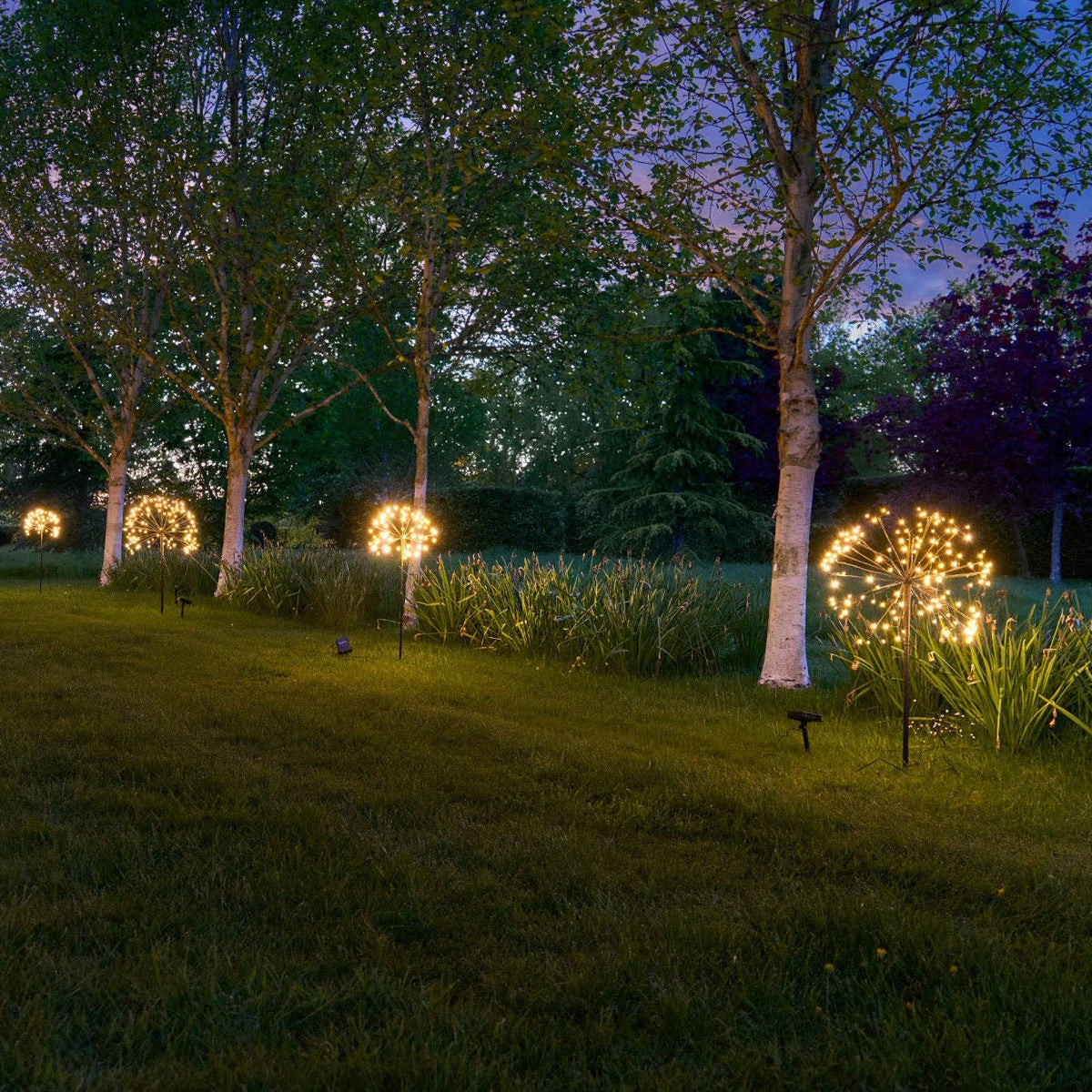 Solar Dandelion Lights