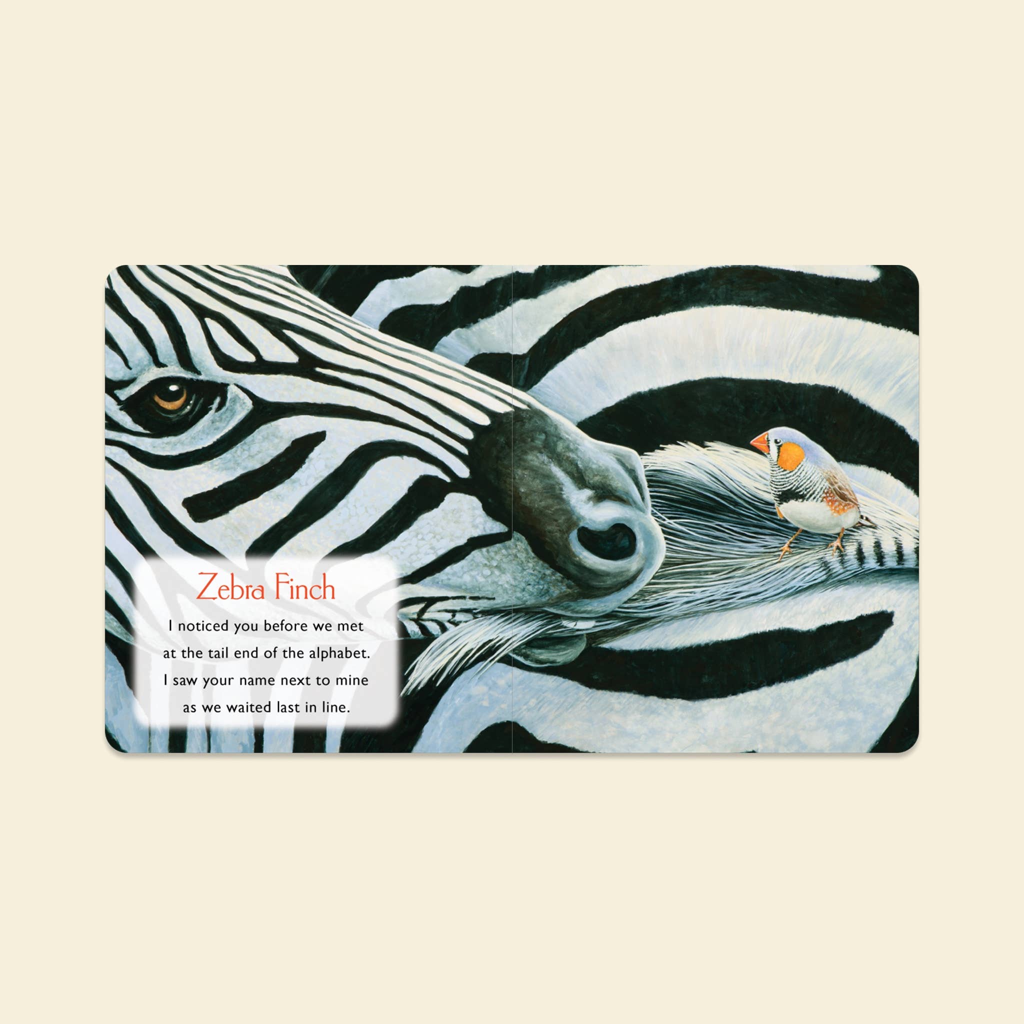 You Stole My Name: A Stocking Size Board Book for Baby