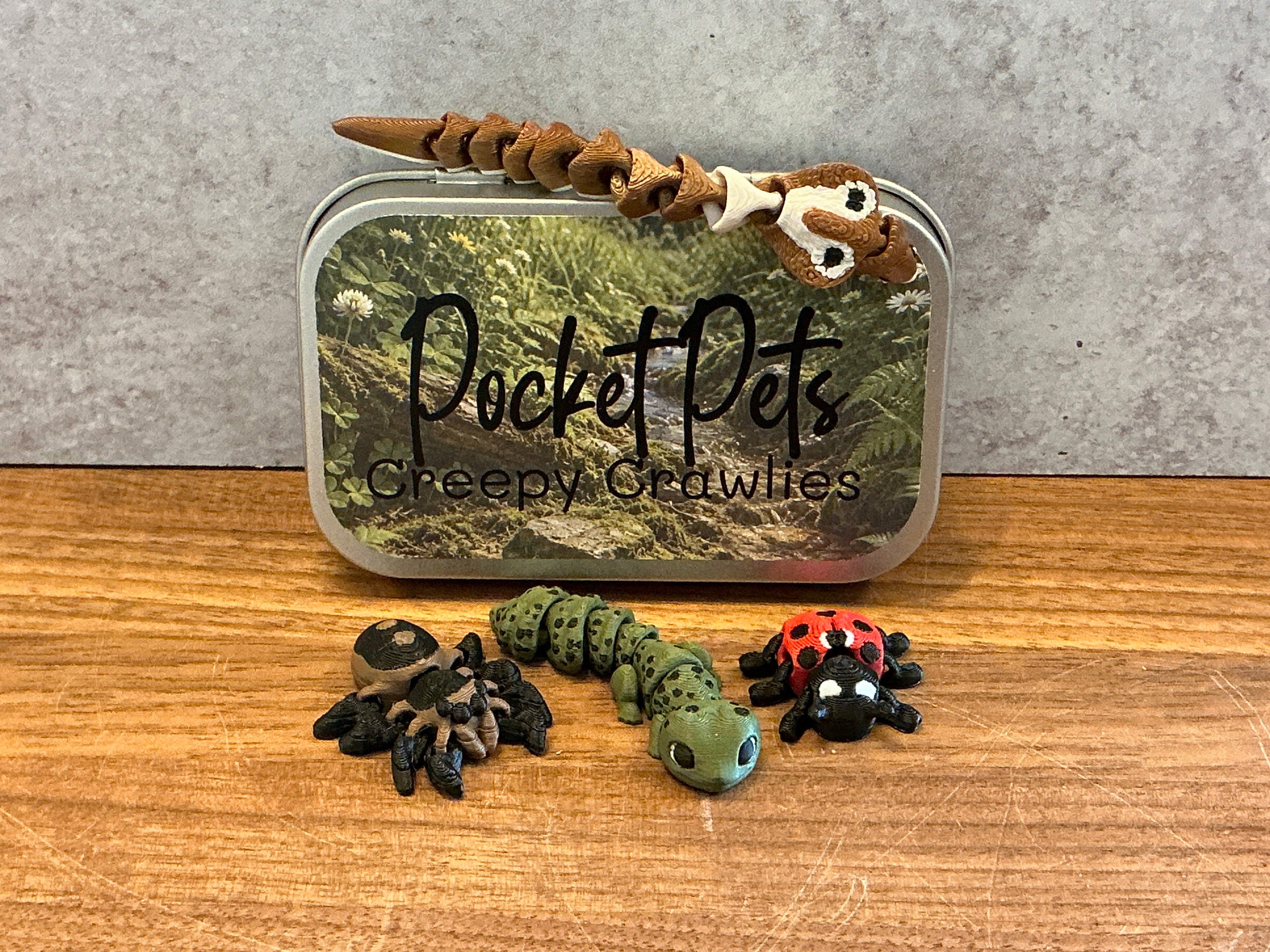 Pocket Pets - Creepy Crawlies