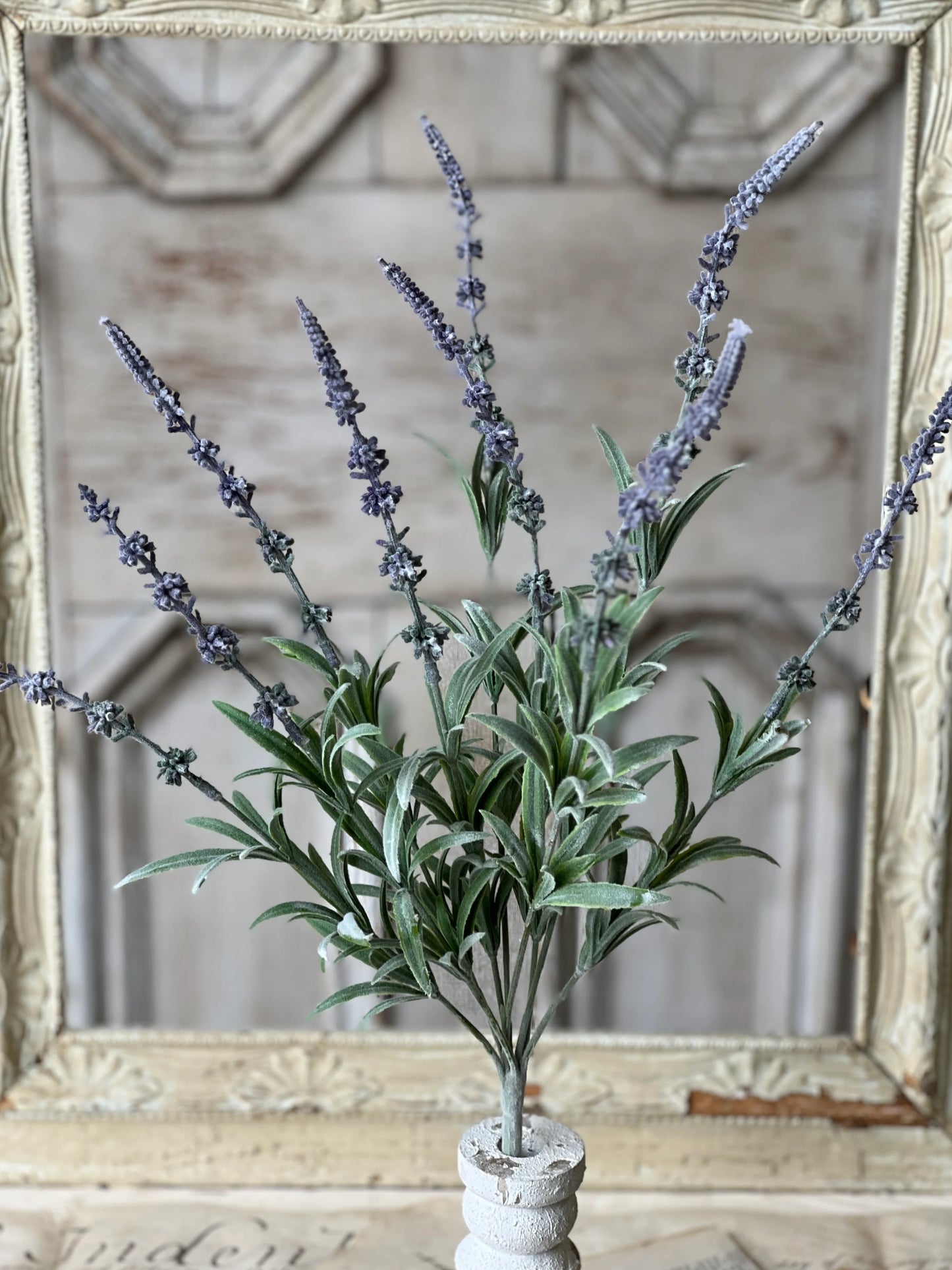 Vista Lavender Bush | 22" | Purple