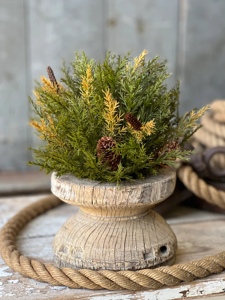 Prickly Pine Half Sphere | Moss | 12"