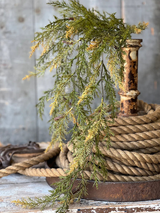 Prickly Pine Hanging | Moss | 33"