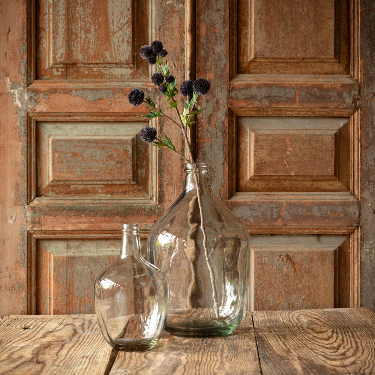 Blue Globe Thistle Stem