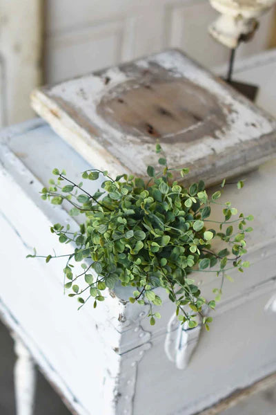 Seraph Vine Half Sphere | 7"