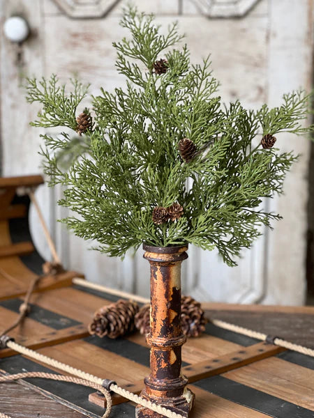 North Rim Hemlock Collection