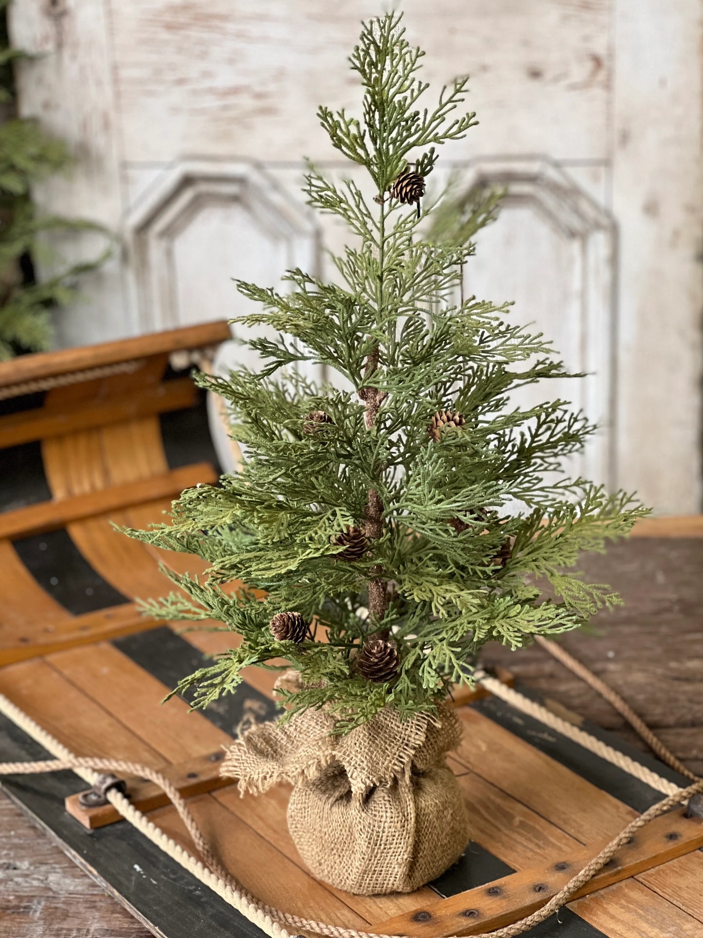 North Rim Hemlock Collection