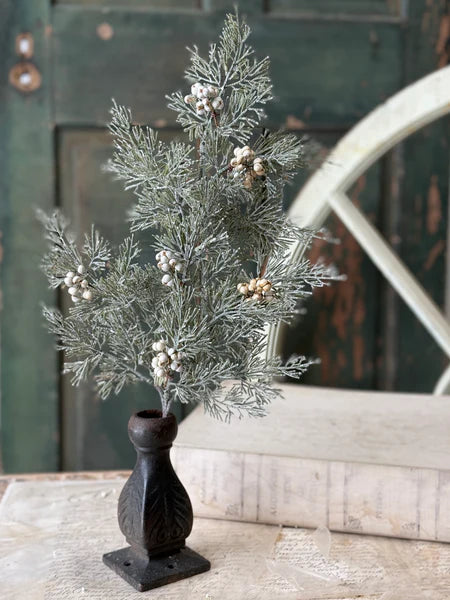 Tee Berry Cedar Spray | 21"