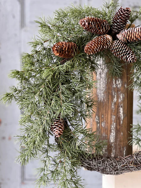 Shining Spindle Pine Wreath | 24"