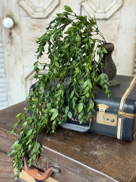 Nottswood Leaves Hanging | 28"