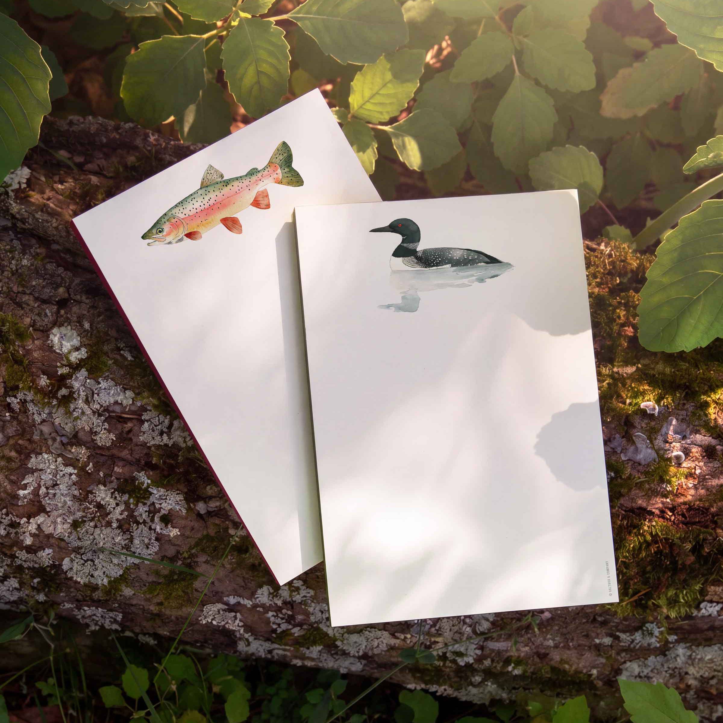 Rainbow Trout - Notepad