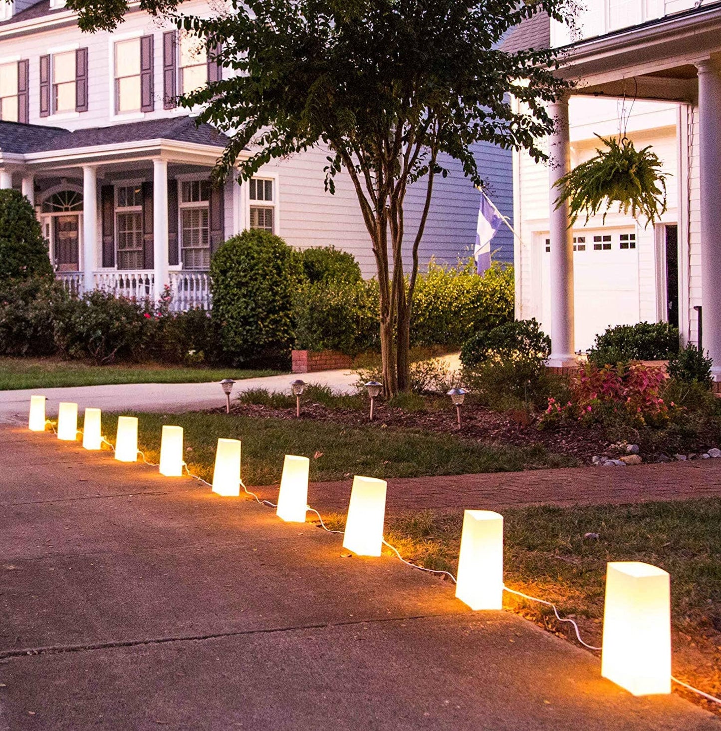 Set of 10 Electric Vellum Christmas Pathway Lights