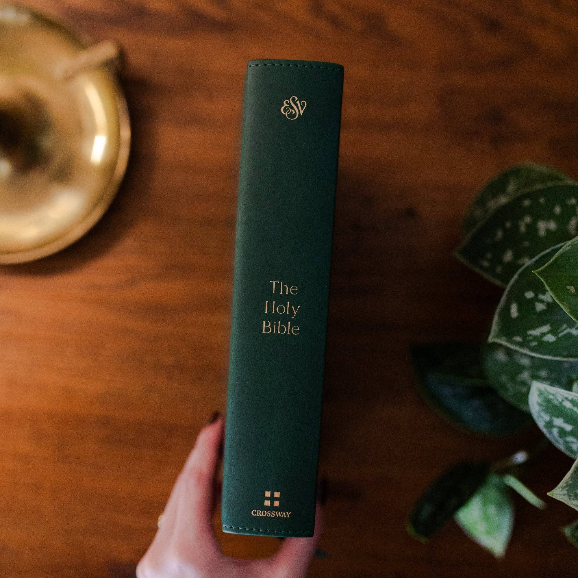 ESV Single Column Journaling Bible® | Wild Rose