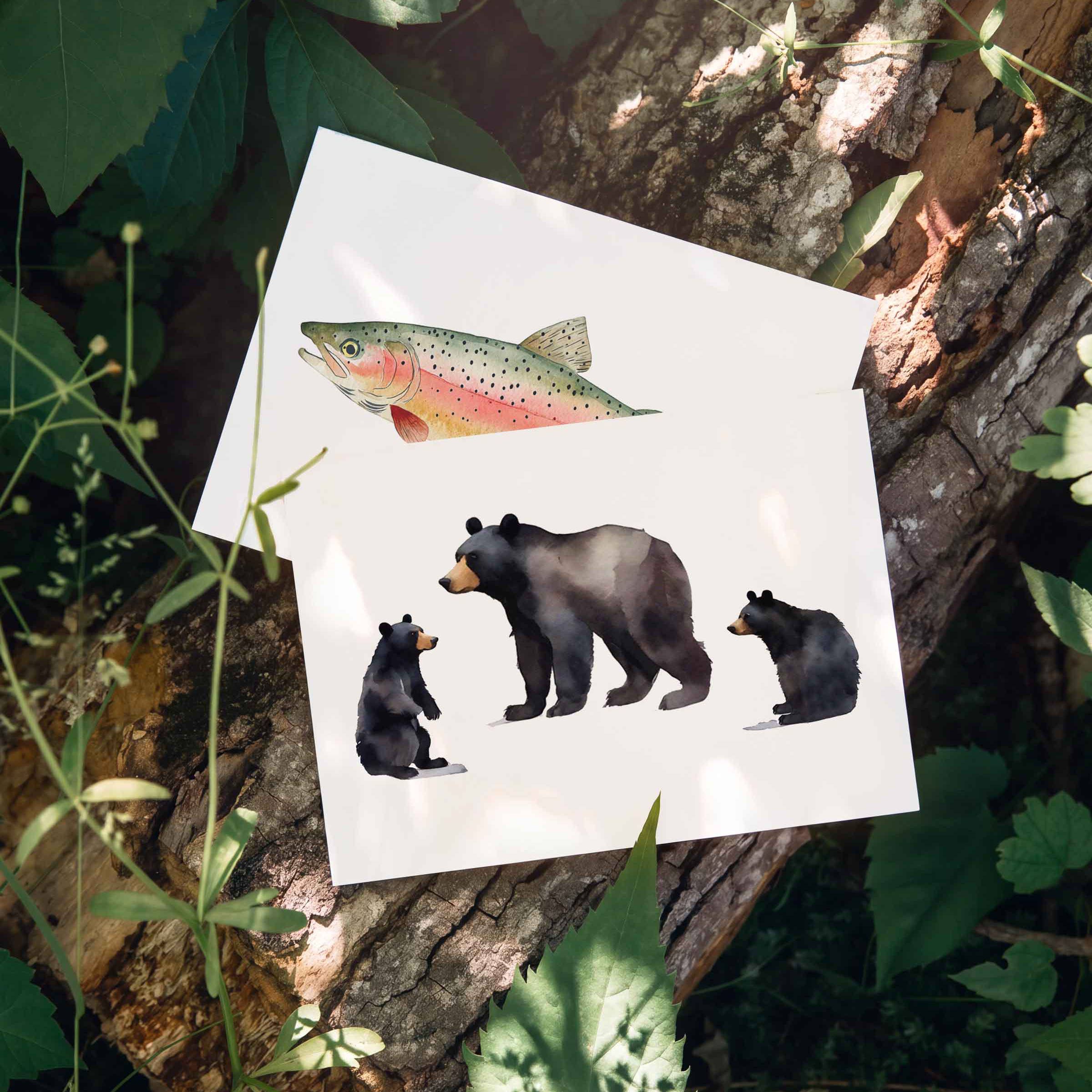 Rainbow Trout - Single Sleeved Note Card
