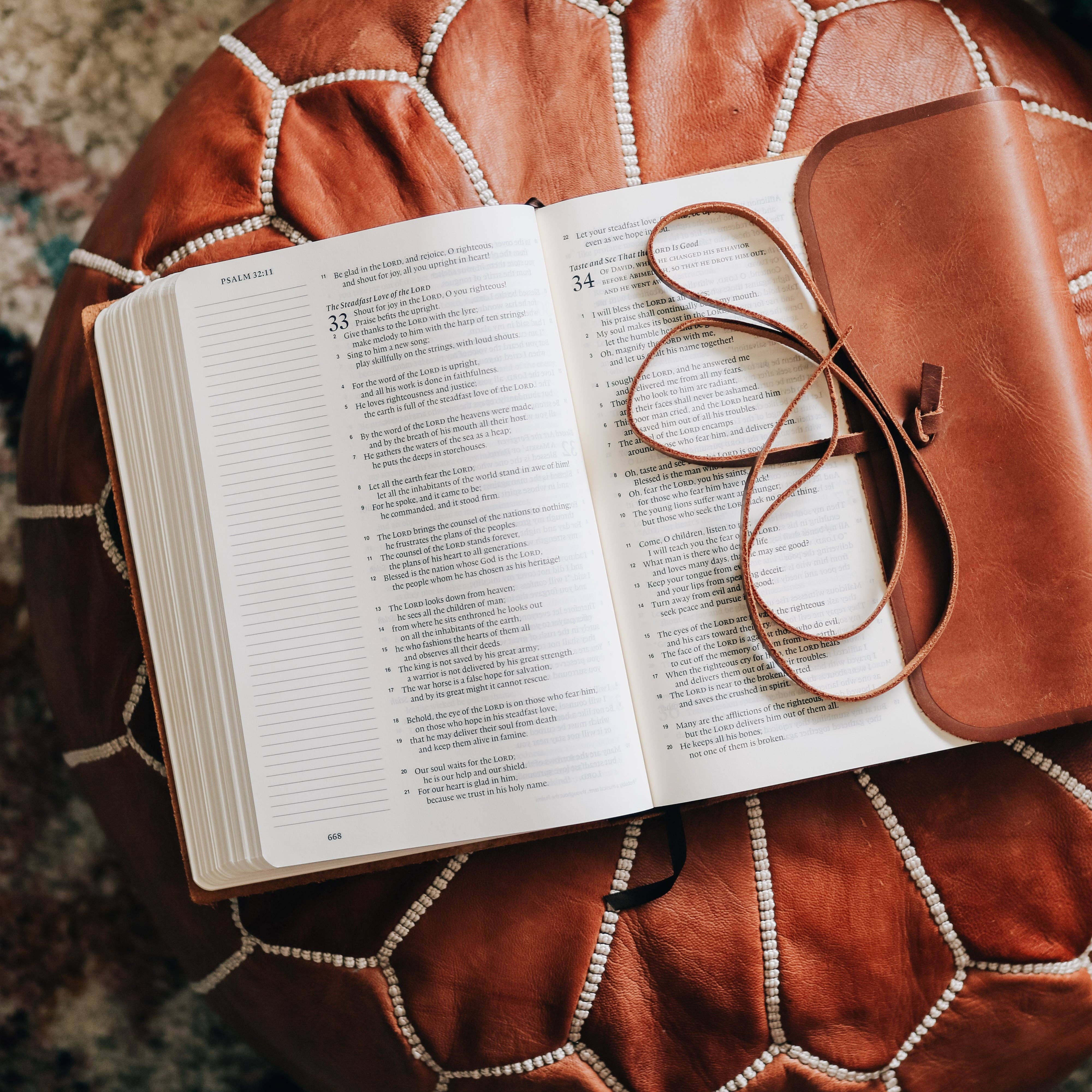 ESV Single Column Large Print Journaling Bible® 