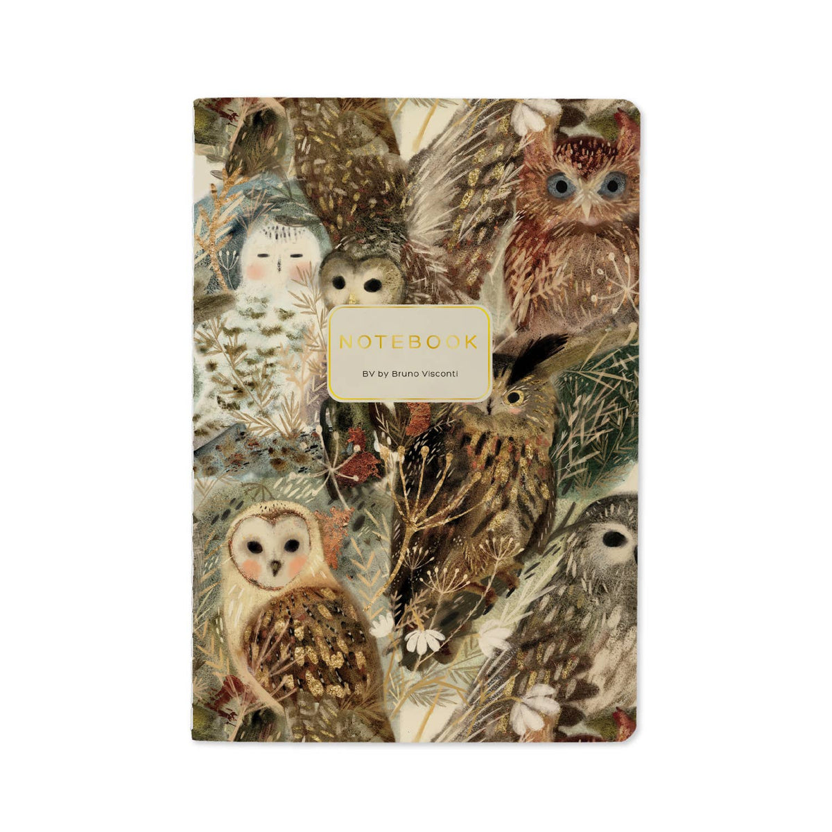 A notebook with a detailed owl illustration cover by Bruno Visconti, featuring a central gold label with the text 'NOTEBOOK' and 'by Bruno Visconti'.