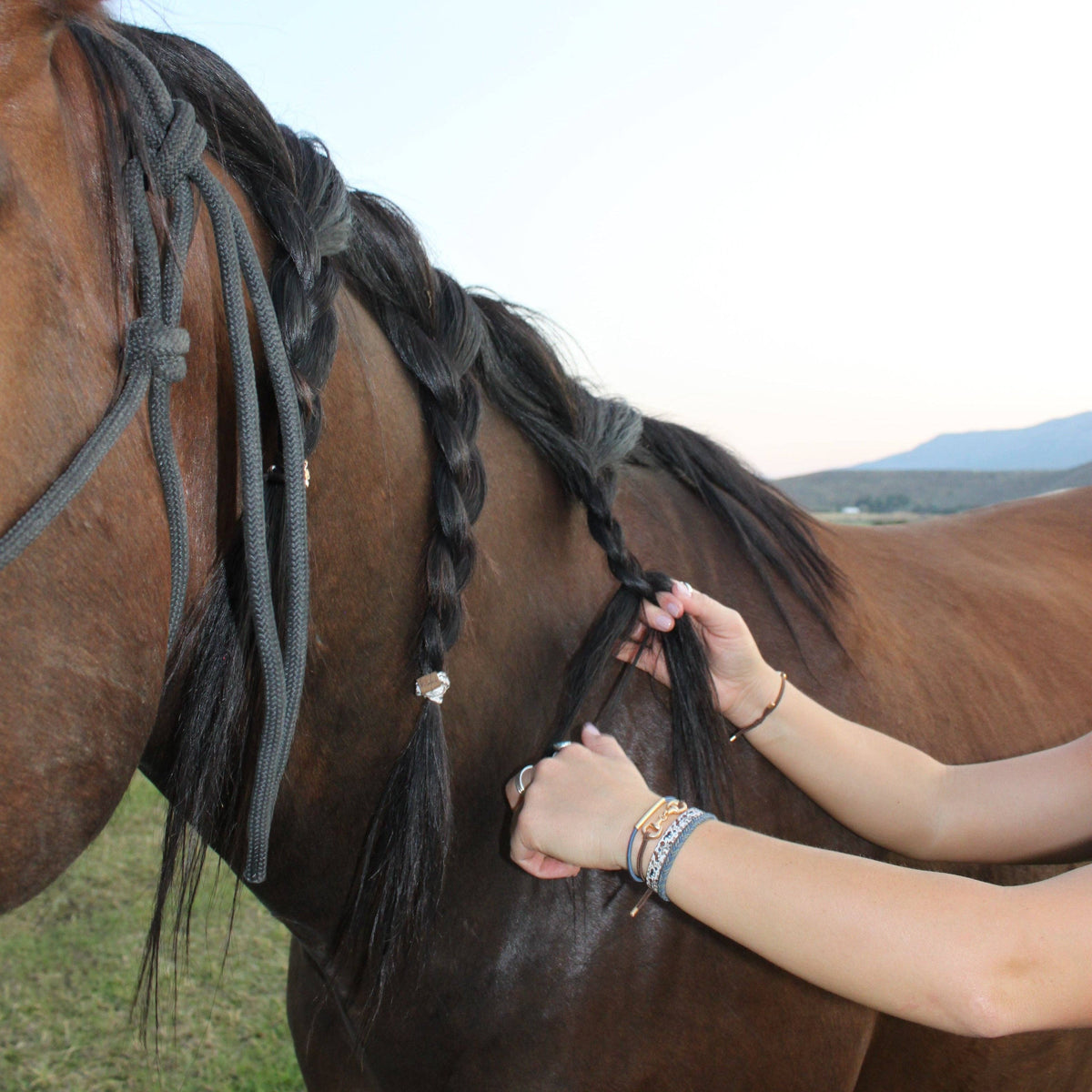 "Gallop" Horse & Bit Equestrian Accents in Rich Brown & Blue Hair Tie Bracelets