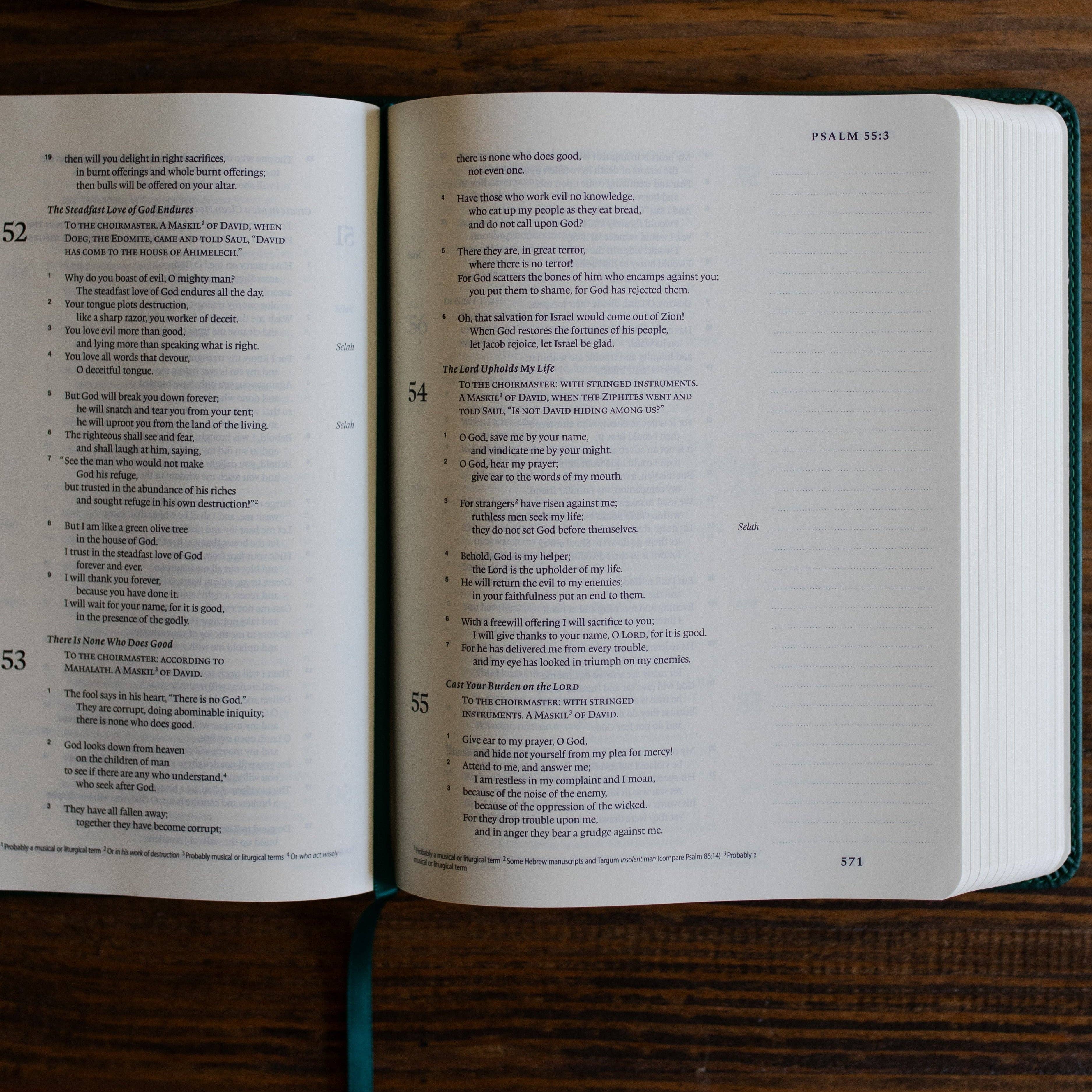 ESV Single Column Journaling Bible® | Wild Rose