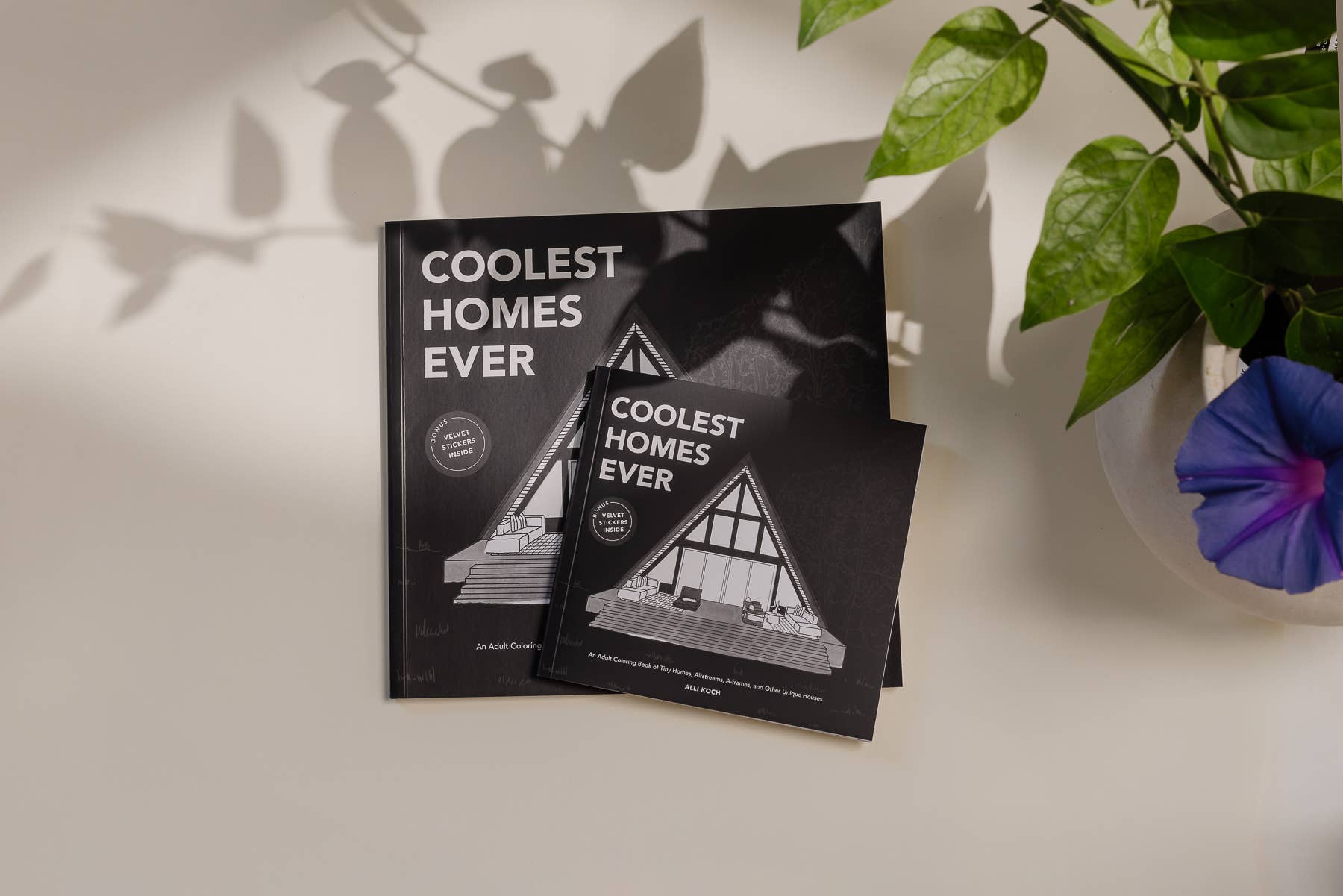Coolest Homes Ever: A Stocking Stuffer Adult Coloring Book
