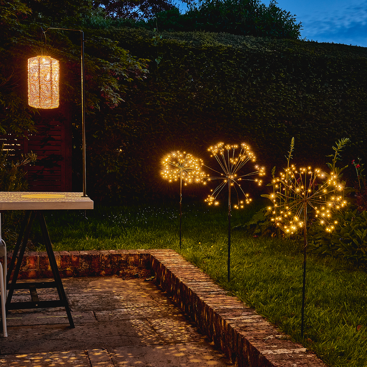 Solar Dandelion Lights