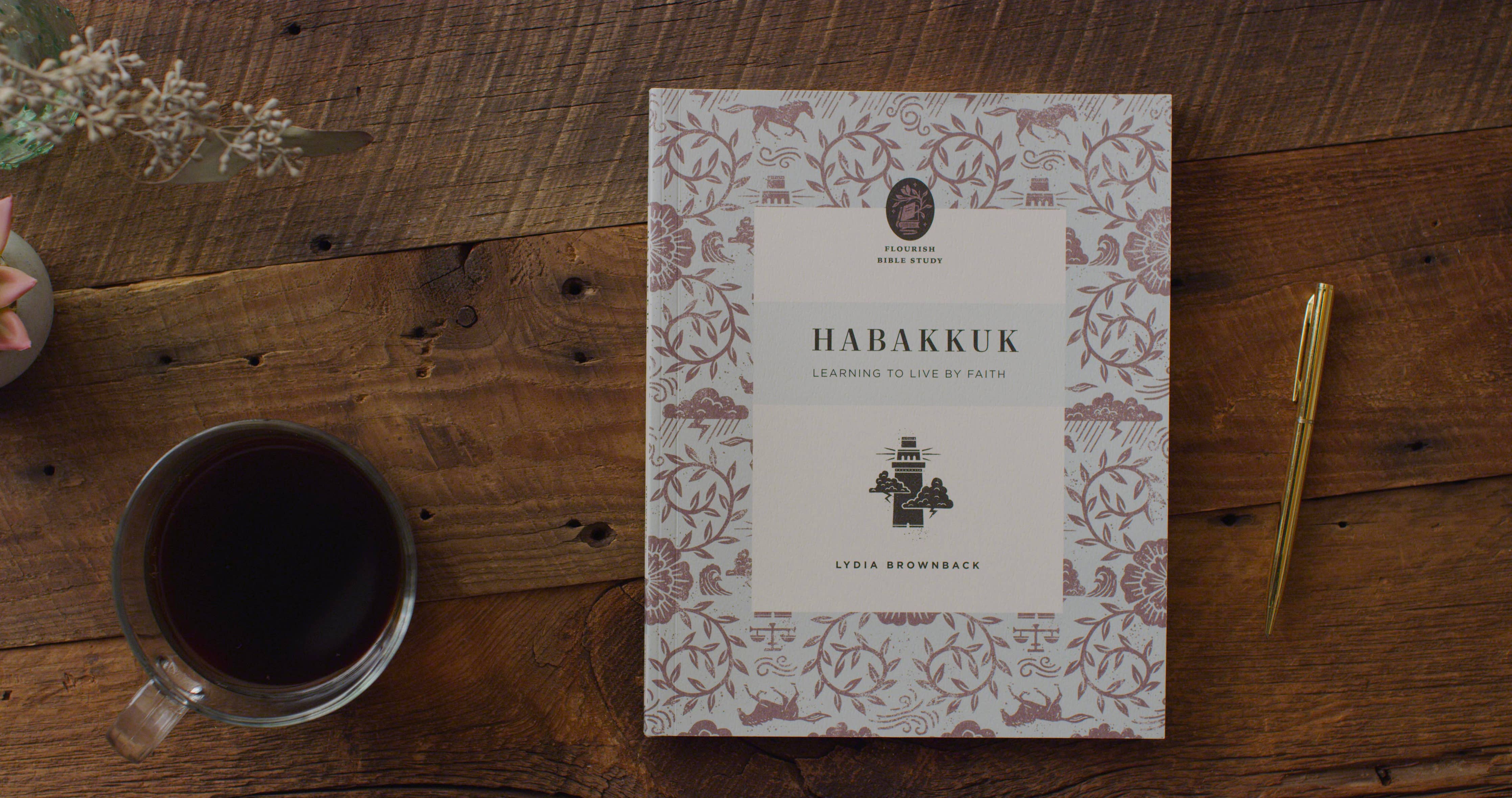 Habakkuk: Learning to Live by Faith ~ Flourish Bible Series