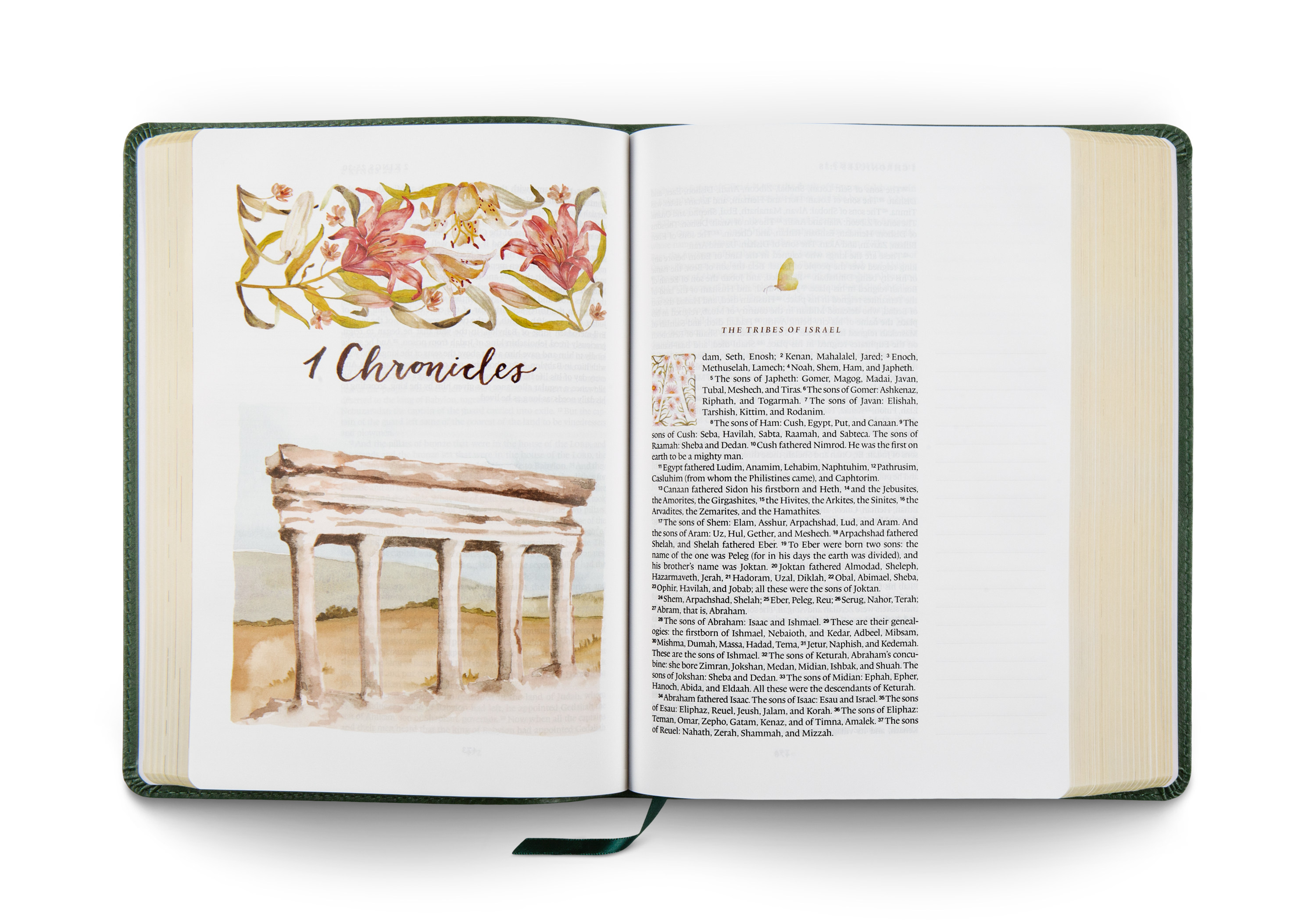 ESV GraceLaced Bible, Artwork by Ruth Chou Simons, TruTone®
