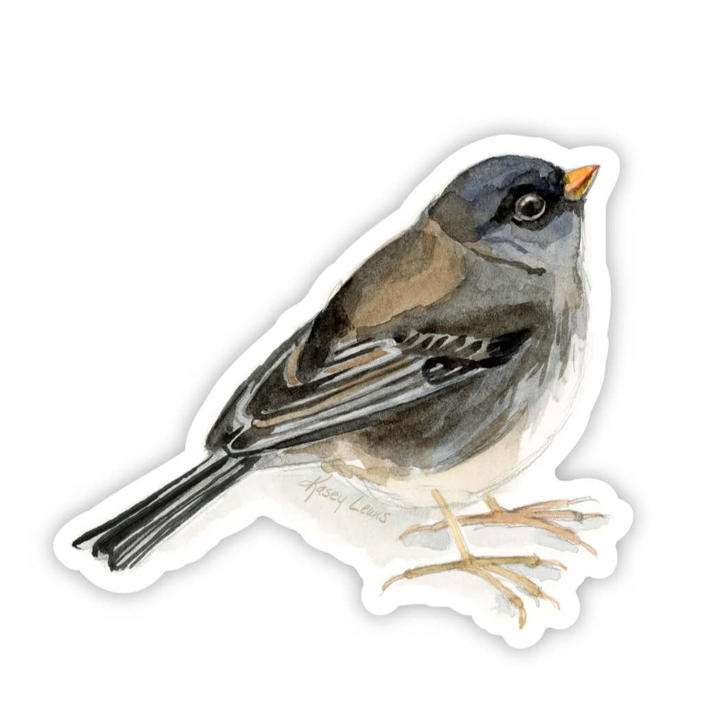 Dark Eyed Junco / Vinyl Sticker
