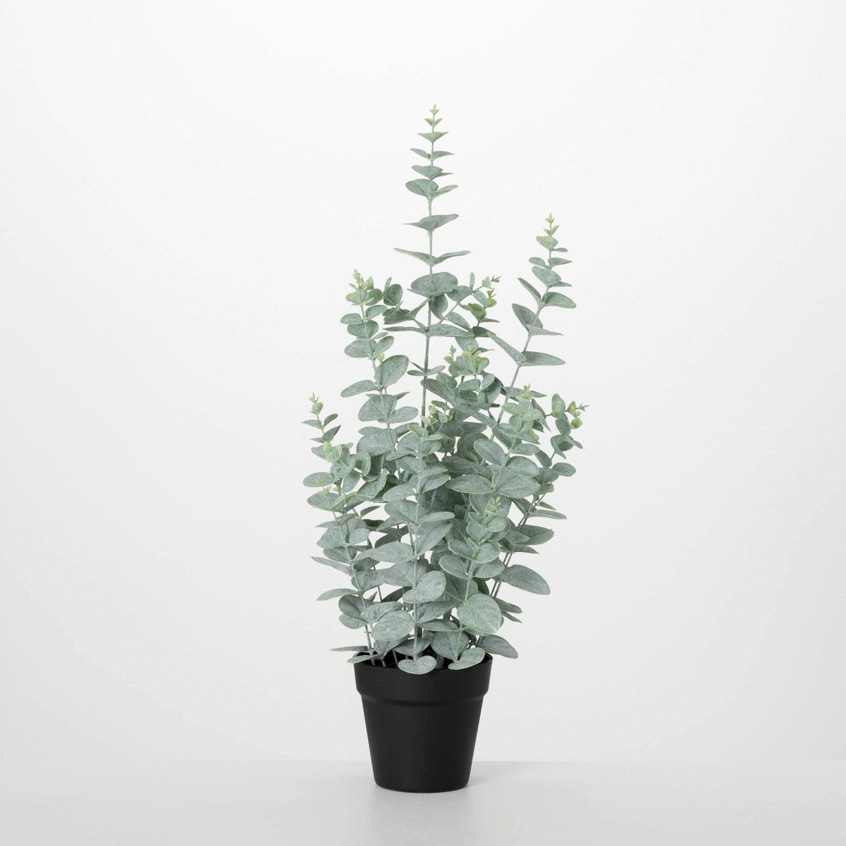 eucalyptus planten SULLIVANS 2 ft. 3 in. Artificial Silk Small Eucalyptus Tree in Pot