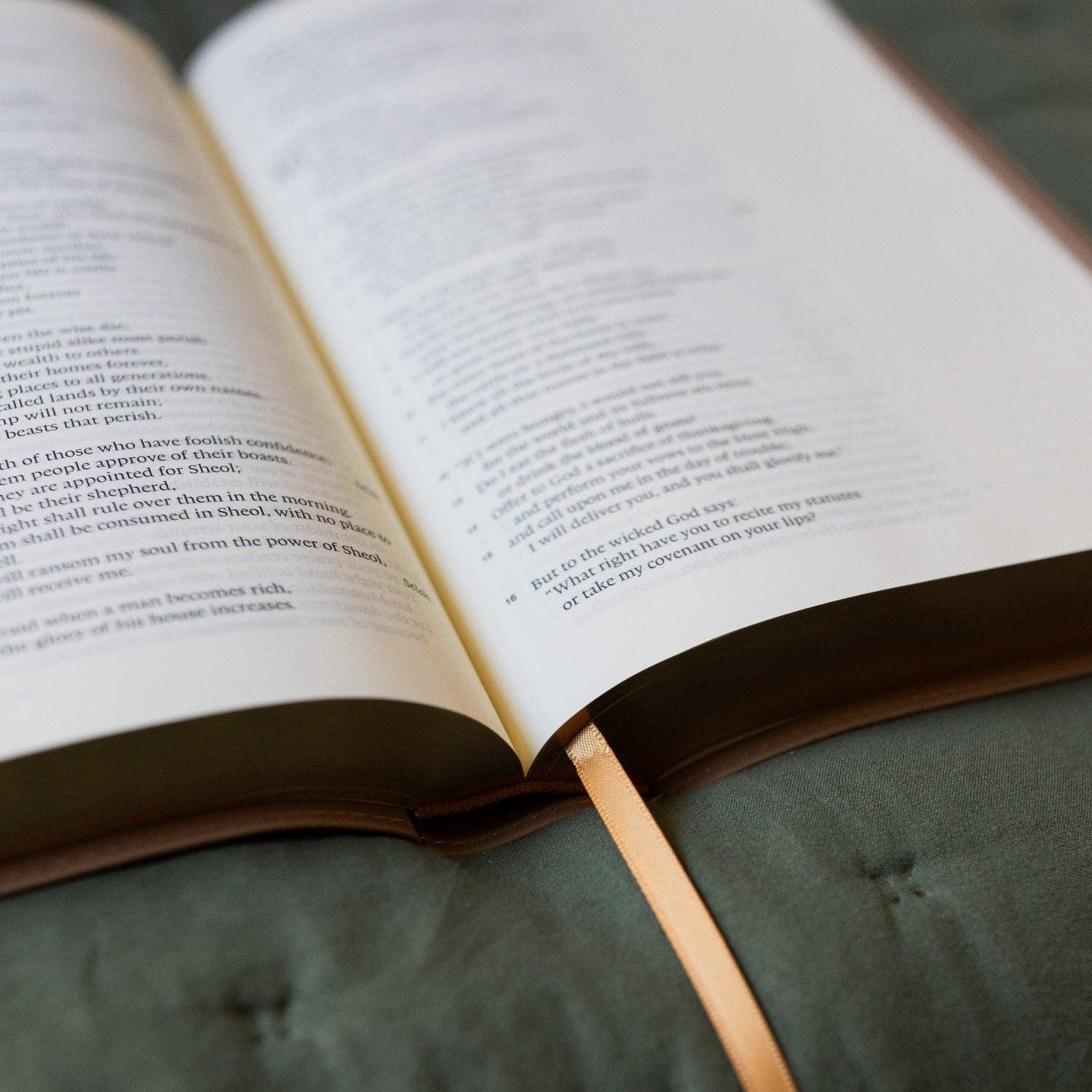 ESV Large Print Single Column Journaling Bible | Lamp and Light