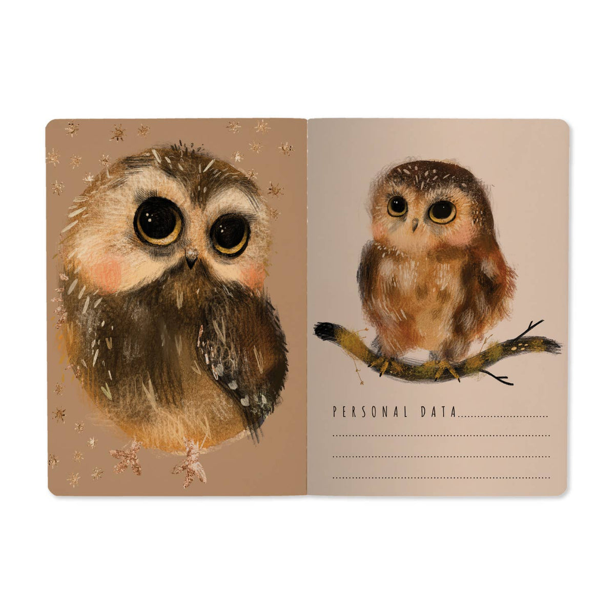journal pages with two illustrations of owlets on a beige background