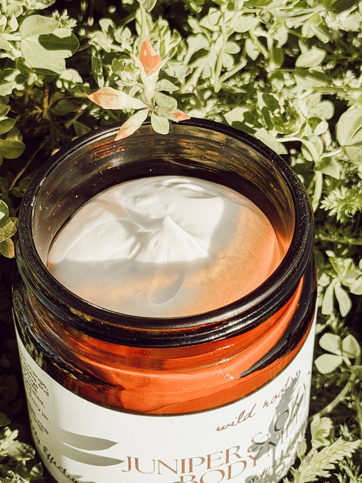 Tallow Body Melt - Juniper + Sweet Orange