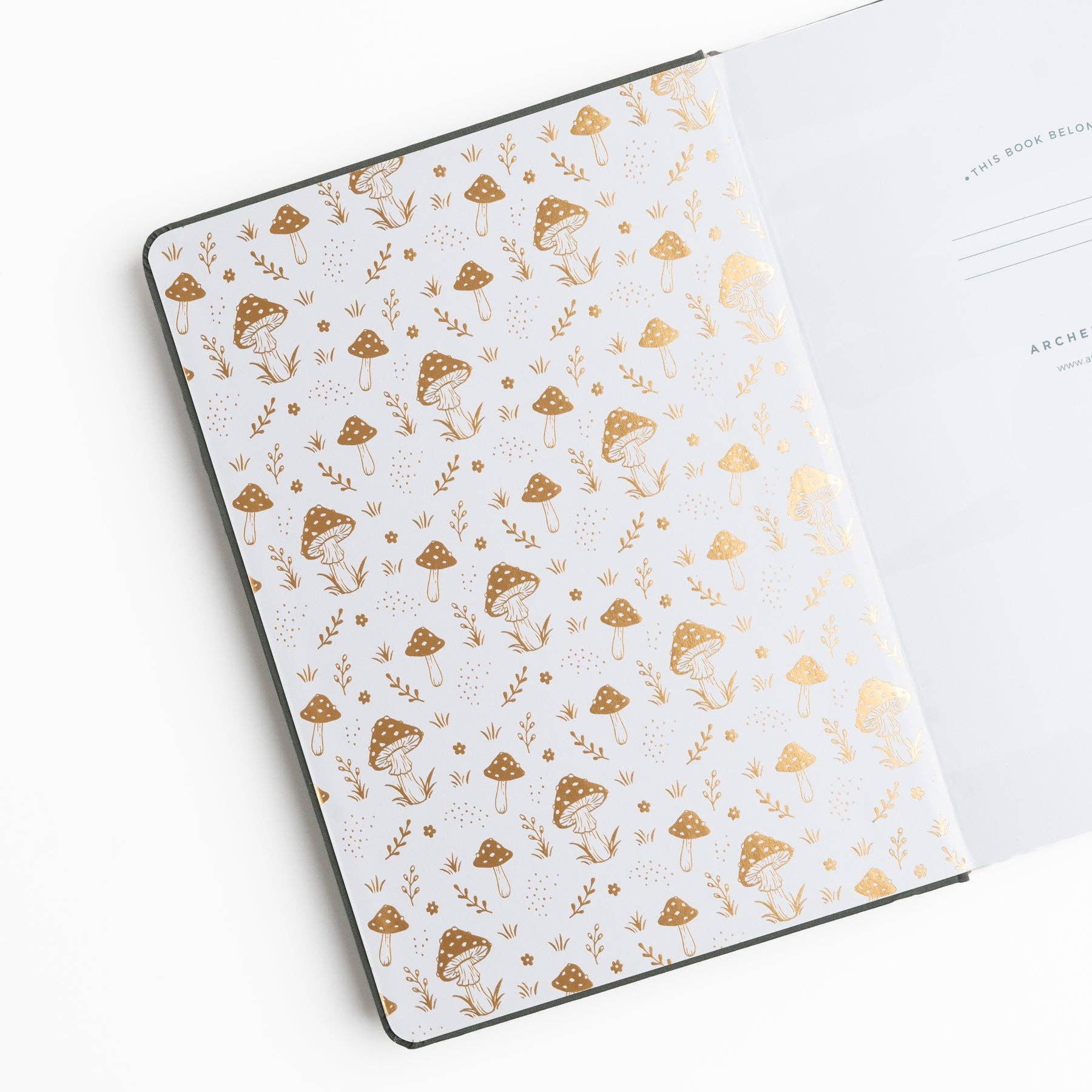 Limited Edition SQ: Mushrooms