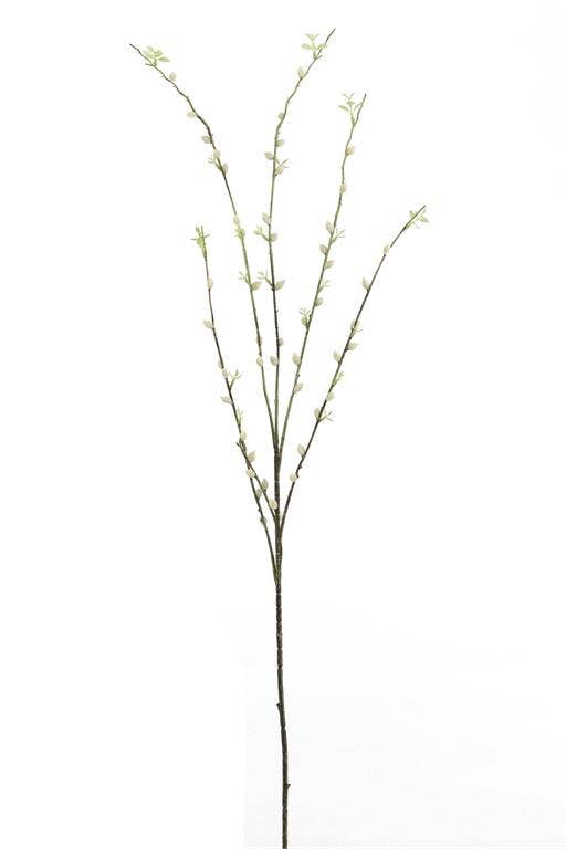 Pussy Willow, 40.55", Natural